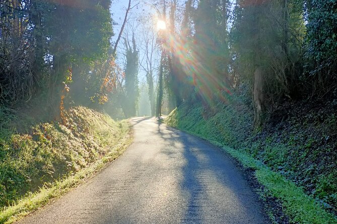 Private Guided E-bike Tour in Bertinoro - Why Choose Bertinoro