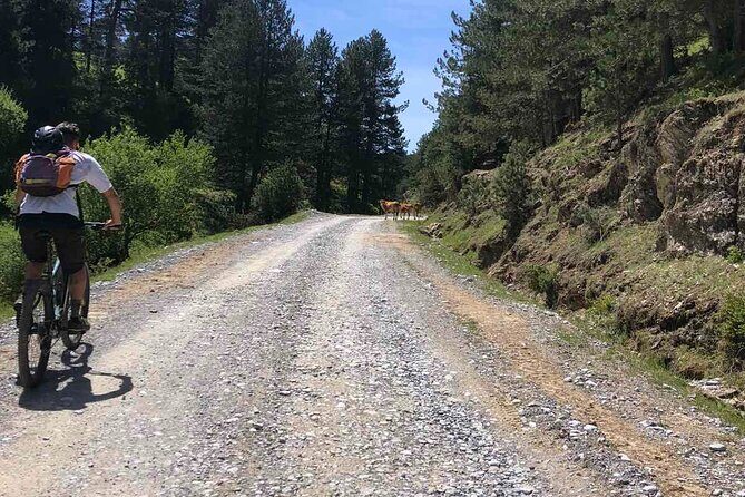 Private Guided E-Biking Tour on Mount Olympus - Who Will Love This Tour?