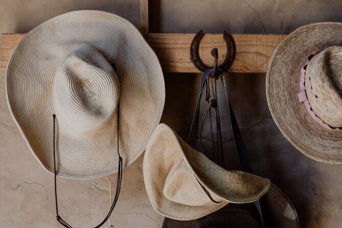 Private Guided Equine Meditation in Baja California - Practical Details and Tips