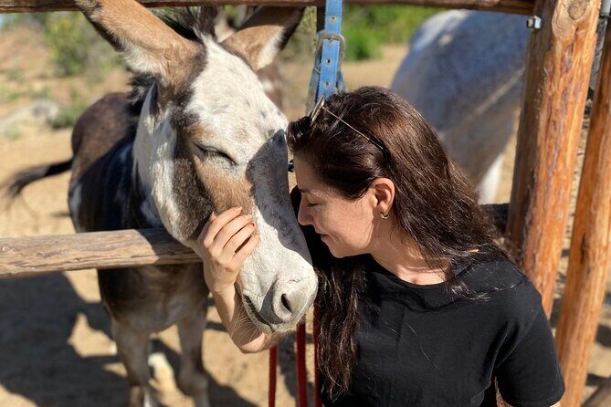 Private Guided Equine Meditation in Baja California - Frequently Asked Questions
