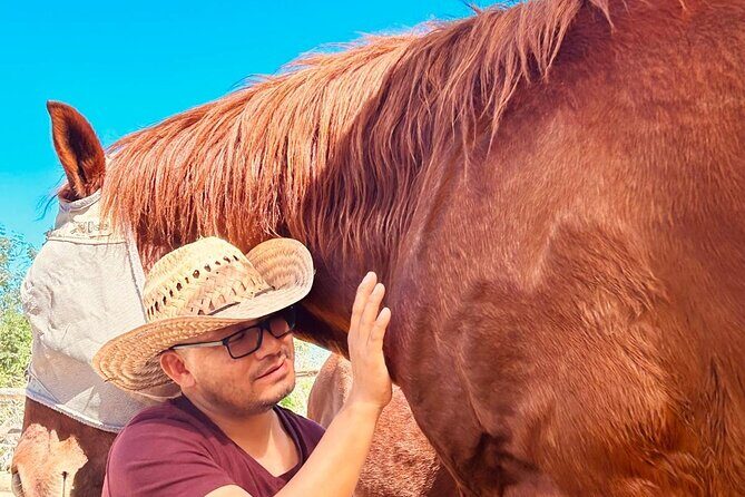 Private Guided Equine Meditation in Baja California - Final Thoughts