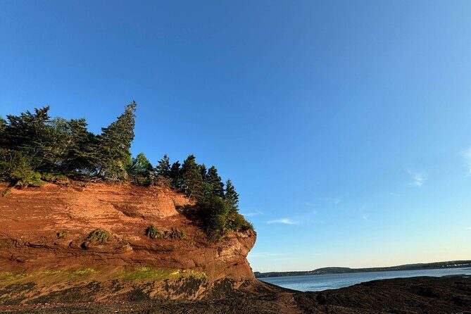 Private Guided Fundy Tour in Saint John - Who Will Love This Tour?