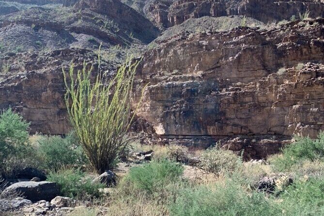 Private Guided Grand Canyon Tour in Arizona - Introduction: Why This Tour Stands Out