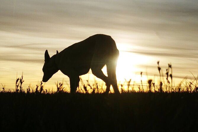 Private Guided Hike: Sunset On Pen y Fan In The Brecon Beacons - Final Thoughts: Is This Tour Right for You?