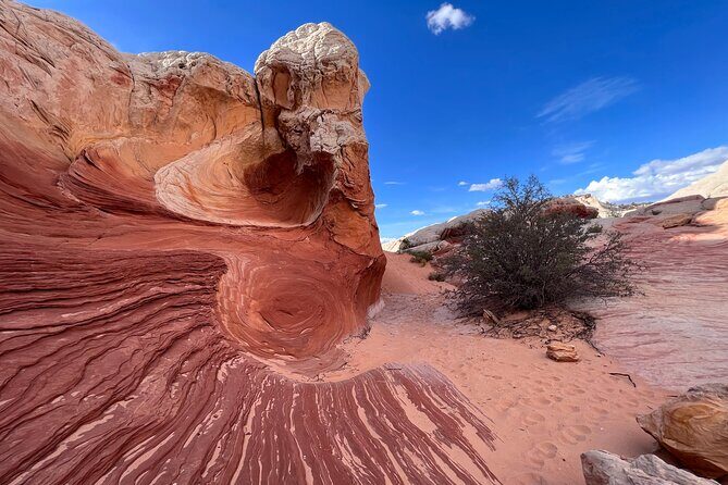 Private Guided Hike through White Pocket Off Road Activity - FAQs