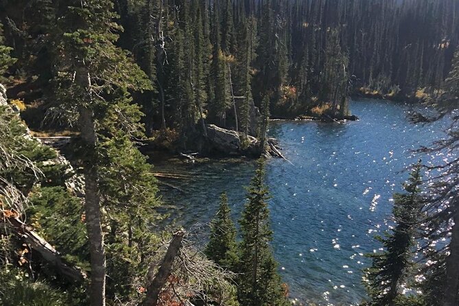 Private Guided Hiking Tour - Reviews