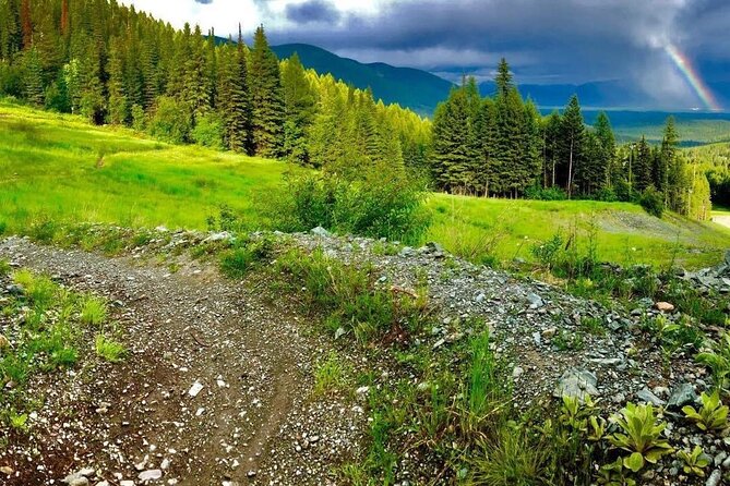 Private Guided Hiking Tour - Guided Exploration