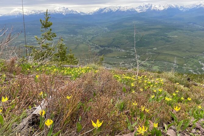 Private Guided Hiking Tour - Memorable Scenery