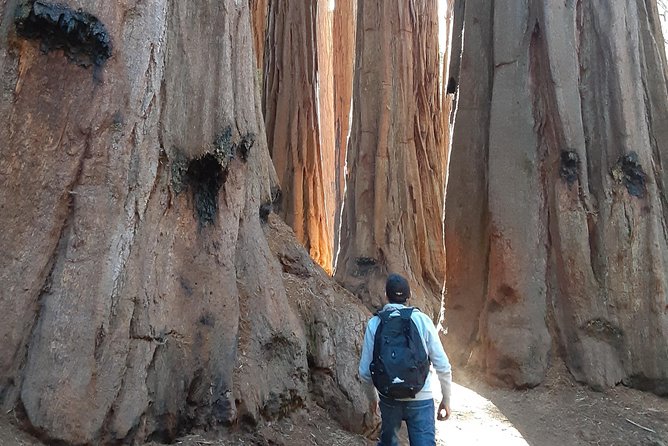Private Guided Hiking Tour - Sequoia National Park - Customer Testimonials