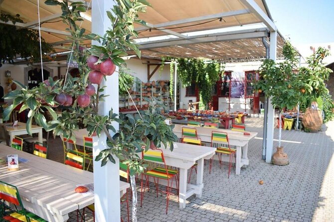 Private Guided Jeep Tour, Zeus Cave, Lasithi Plateau Half Day. - Contact Information