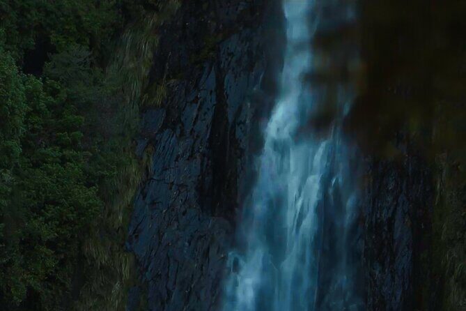 Private Guided Milford Sound Tour ex Queenstown - Key Points  