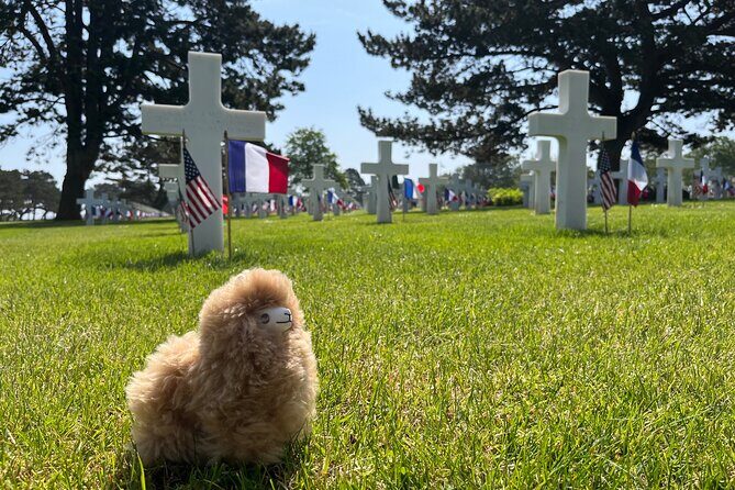 Private Guided Mont Saint Michel & D-day tour from Paris - The Best Fit for This Tour