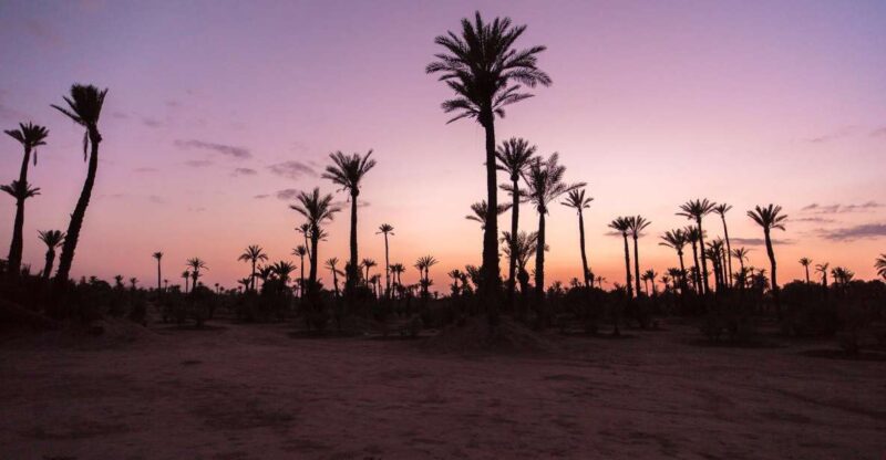 Private-Guided Moroccan Wonders: 6-Day Adventure-Desert - Exploring Chefchaouens Vibrant Blue Hues