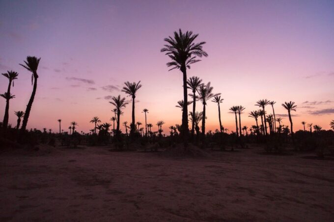 Private-Guided Moroccan Wonders: 6-Day Adventure-Desert - Navigating Marrakechs Captivating Souks