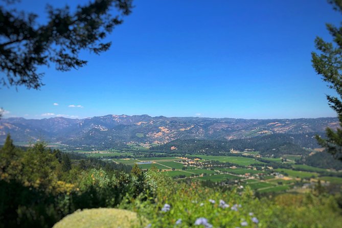 Private Guided Napa and Sonoma Wine Tour and Tasting - Tour Inclusions