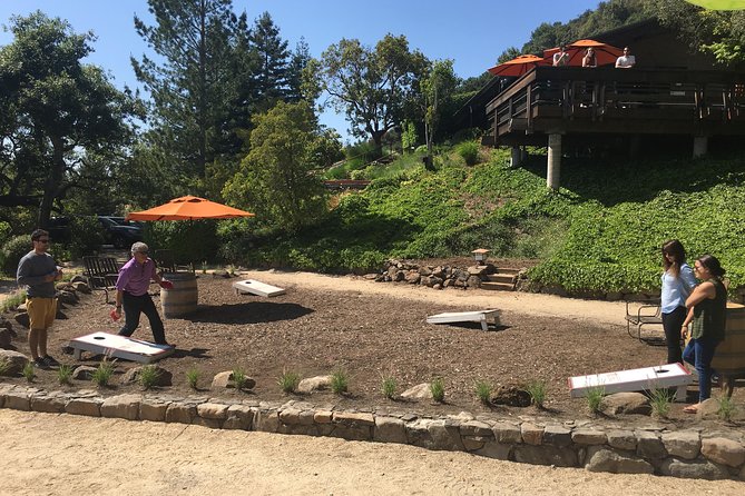 Private Guided Napa and Sonoma Wine Tour and Tasting - Accessibility and Participation