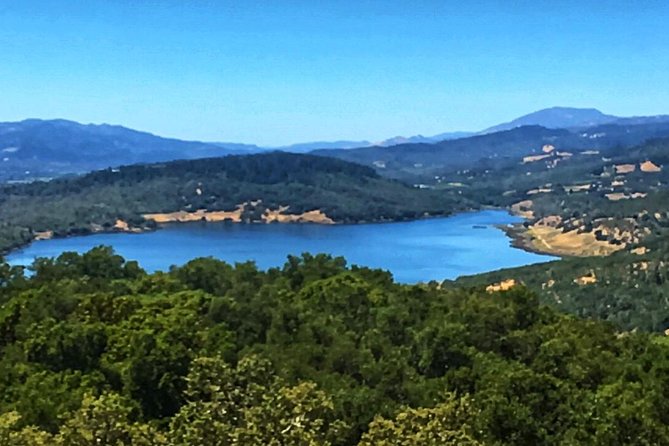 Private Guided Napa and Sonoma Wine Tour and Tasting - Exploring Napas Renowned Wineries