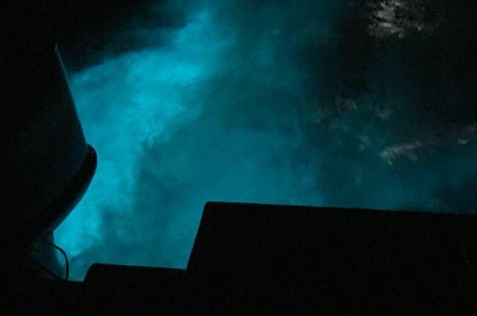 Private Guided Night Tour of Luminous Lagoon in Montego Bay - FAQ