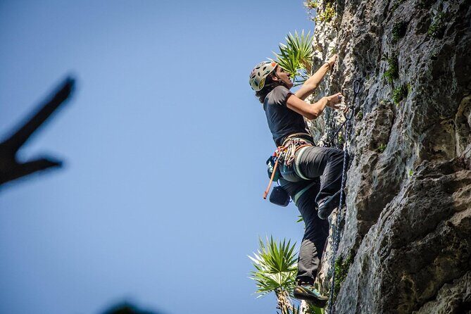 Private Guided Rock Climbing Trips in Puerto Rico - The Practicalities