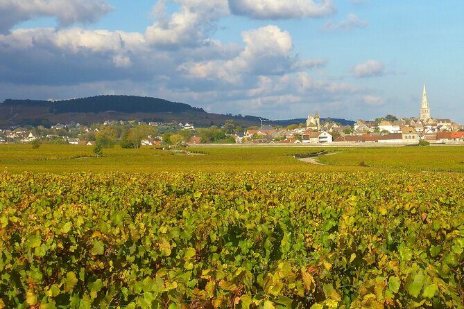 Private Guided Sidecar Tour in Burgundy from Meursault - FAQ