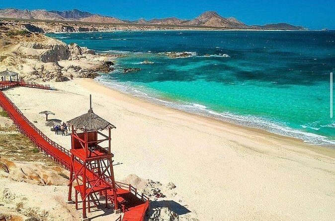 Private Guided Snorkeling Experience in Cabo Pulmo - Who Is This Tour Best For?