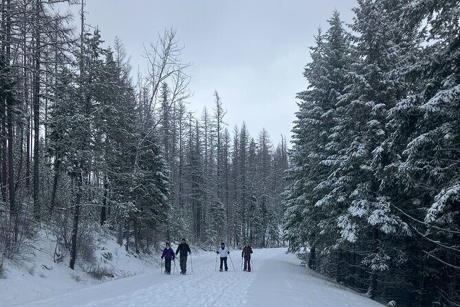 Private Guided Snowshoe Adventure in Glacier National Park - Key Points