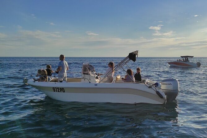 Private Guided Sunset Dolphin Watching in Adriatic Sea - The Reviews Speak Volumes