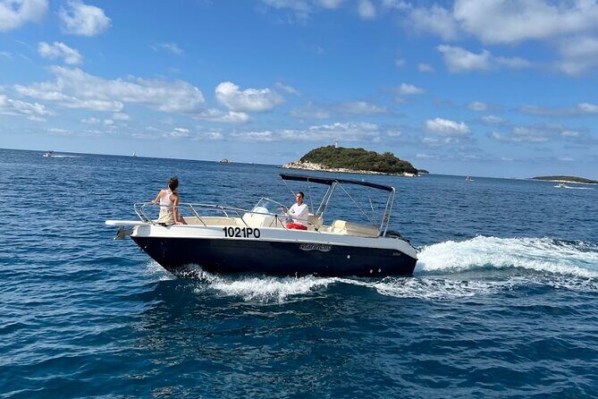 Private Guided Sunset Dolphin Watching in Adriatic Sea - The Sum Up