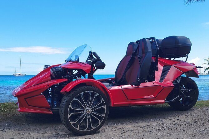 Private Guided Tour around the Moorea Island - Final Thoughts