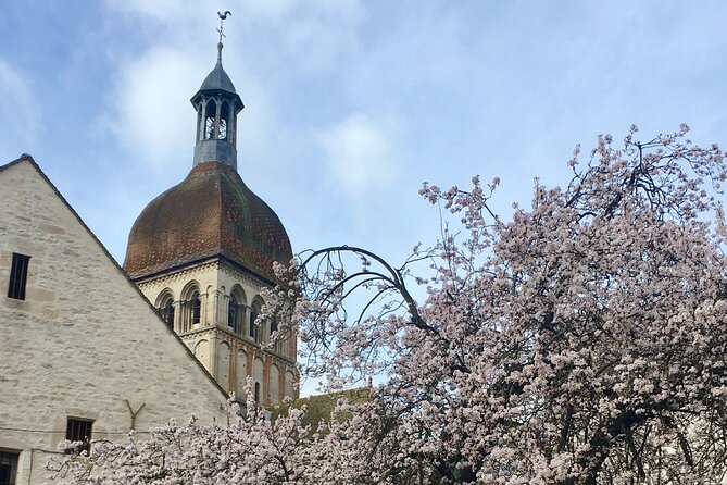 Private Guided Tour - Beaune 2h - Booking Information