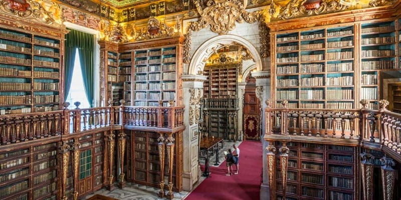 Private Guided Tour: Coimbra Best Of - Why Choose a Private Guided Tour?