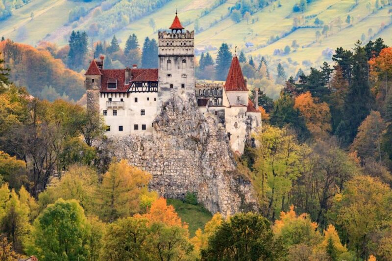Private Guided Tour Draculas Castle & Bear Sanctuary - Booking Information