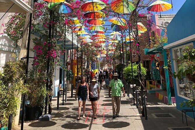 Private Guided Tour: Explore Puerto Platas Rich History! - How the Tour Works and What to Expect