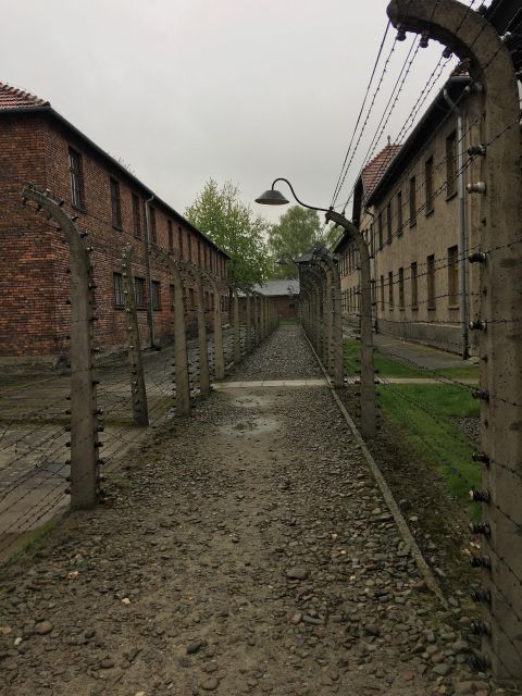 Private Guided Tour From Prague to Auschwitz Birkenau - Guidance and Accessibility