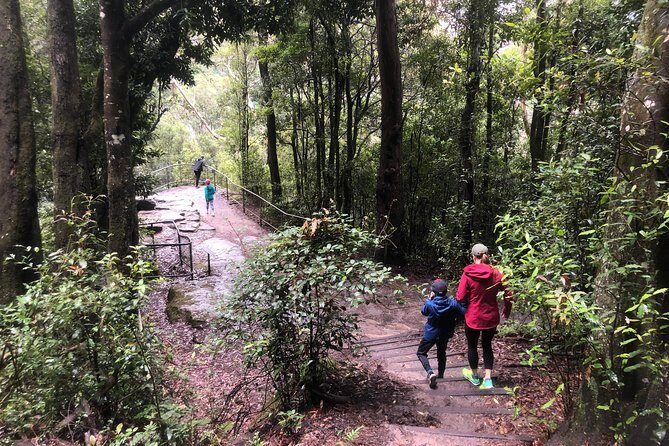Private Guided Tour from Sydney to Blue Mountains National Park - Final Thoughts