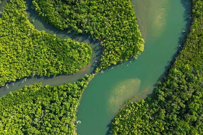 Private Guided Tour in Port Douglas and Surrounds - Practical Details and Logistics