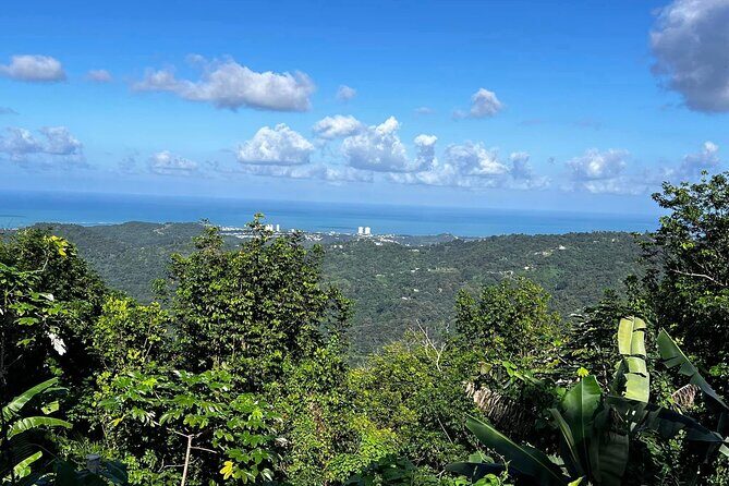 Private Guided Tour in Puerto Rico - An All-Day Journey through Puerto Rico’s Natural and Cultural Treasures