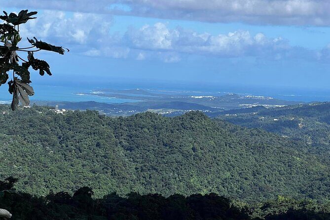 Private Guided Tour in Puerto Rico - Who Will Love This Tour?