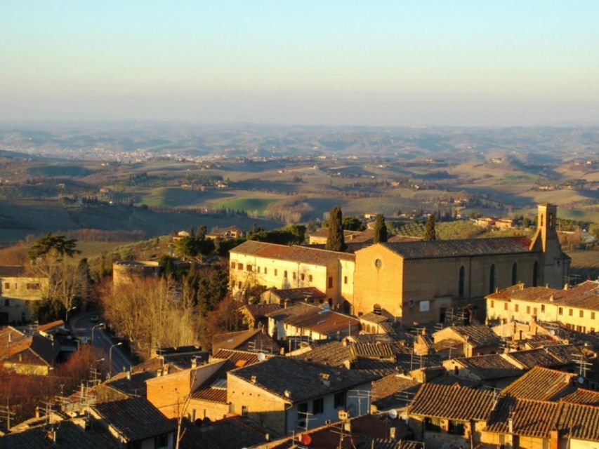 Private Guided Tour in San Gimignano - Vernaccia Museum