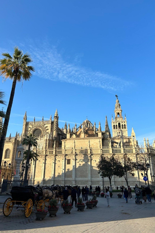 Private Guided Tour of Seville From Faro - Good To Know