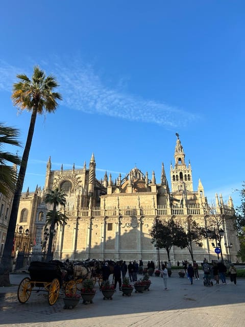 Private Guided Tour of Seville From Faro - Cancellation Policy