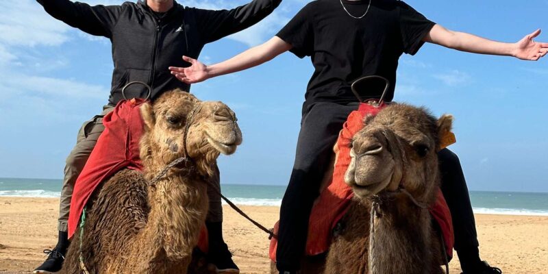 Private Guided Tour of Tangier From Marbella With Said. - Accessibility and Language