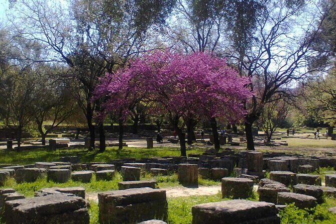 Private Guided Tour of the Archaeological Site and Museum of Olympia - Key Points
