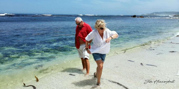 Private Guided Tour of the Cape Peninsula - Frequently Asked Questions