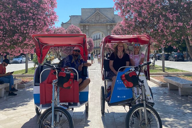 Private Guided Tour of the Historical Attractions of Lecce - Group Sizes and Accessibility