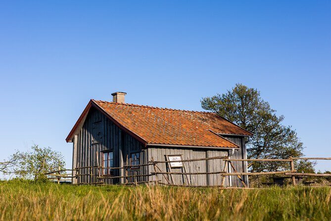Private Guided Tour on Lake Vänern - Who Will Love This Tour?