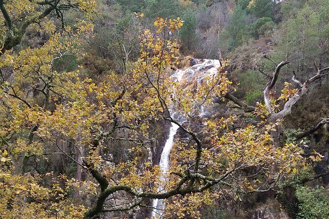 Private Guided Tour - Peneda Gerês National Park - FAQ