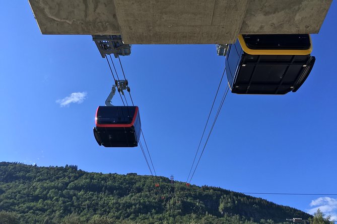PRIVATE GUIDED Tour: Round Trip to Voss, With Cable Car Ride, 7 Hours - Tour Experience