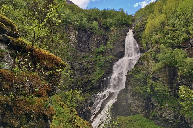 PRIVATE GUIDED TOUR: the Heart of Norway – Viking Special, 8-9 Hours – SUMMER - Customer Reviews