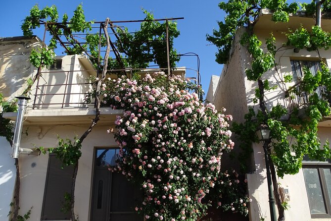 Private Guided Tour to Lasithi Plateau Villages & Wine Tasting - Inclusions